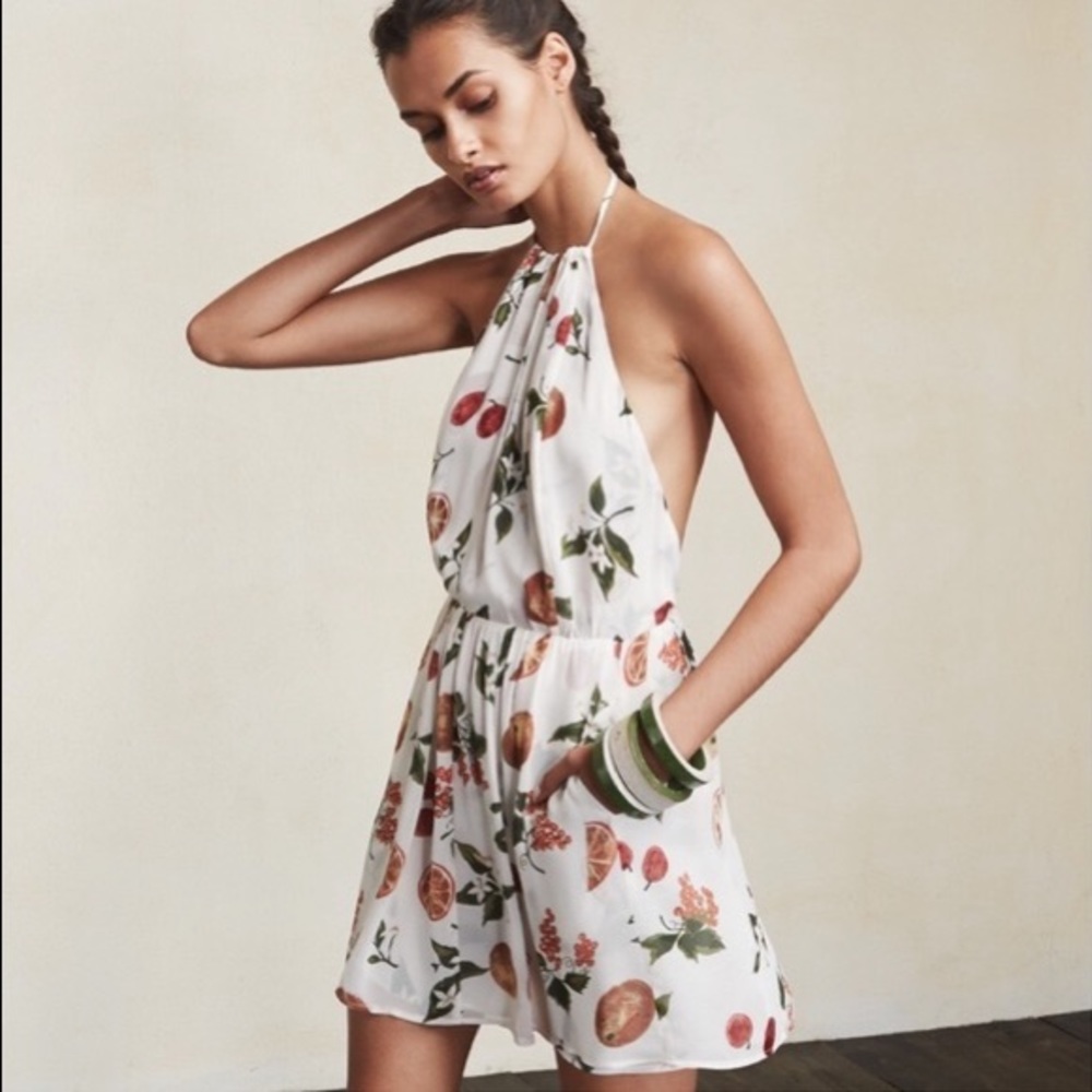 Reformation Garner Fruit Dress